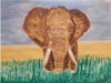 Elephant in water colour
