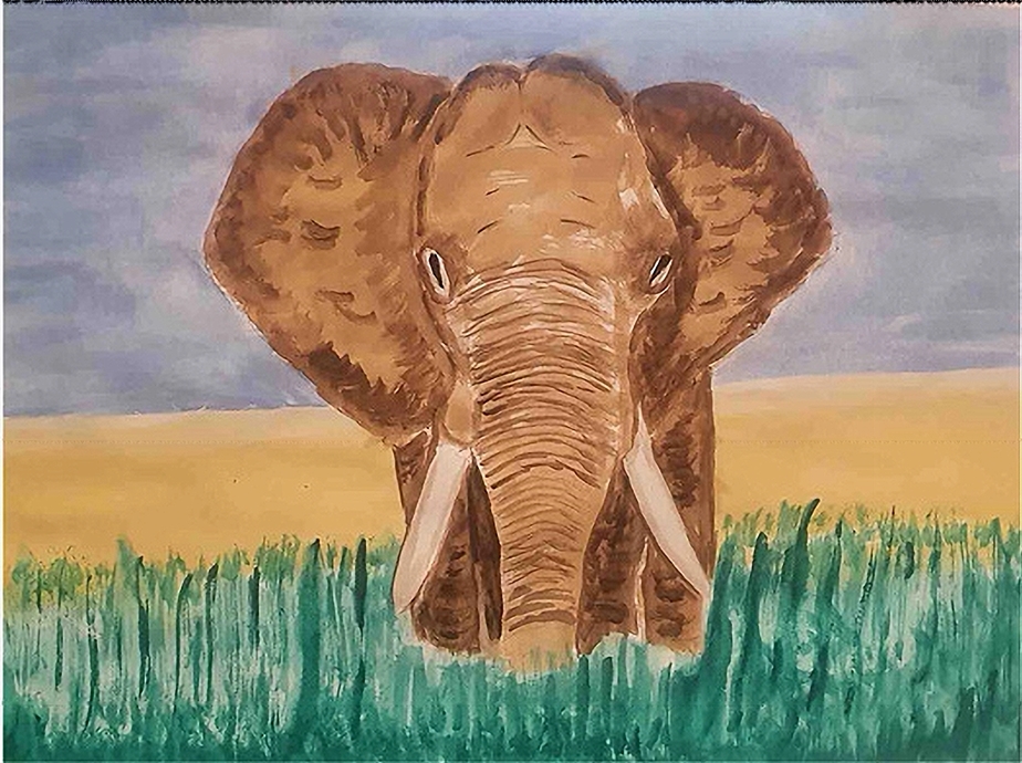 Elephant in water colour