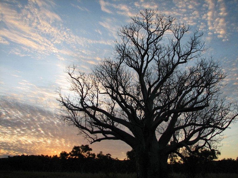 kununurra